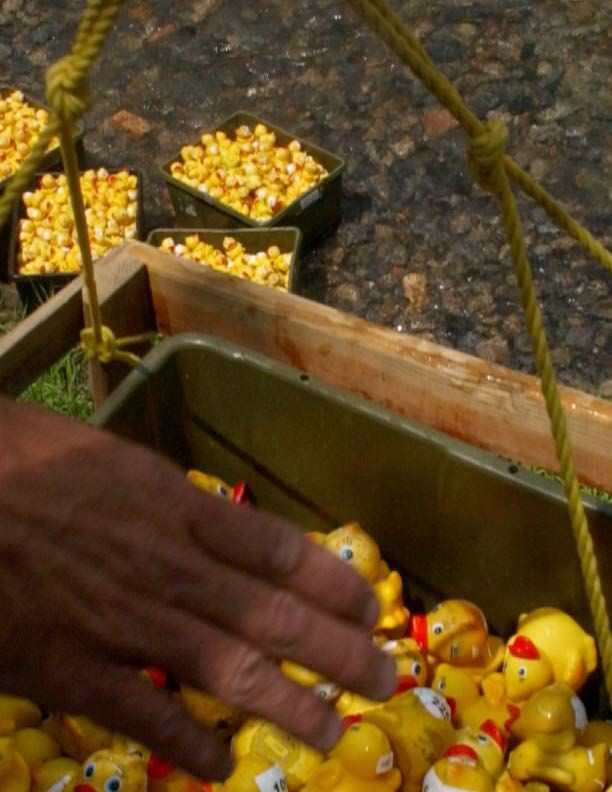 Duck Derby 2005
